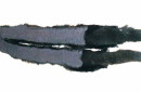 DOUBLE BLACK FOX FUR WRAP 6
