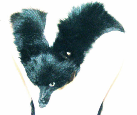 fox fur boa stole 1